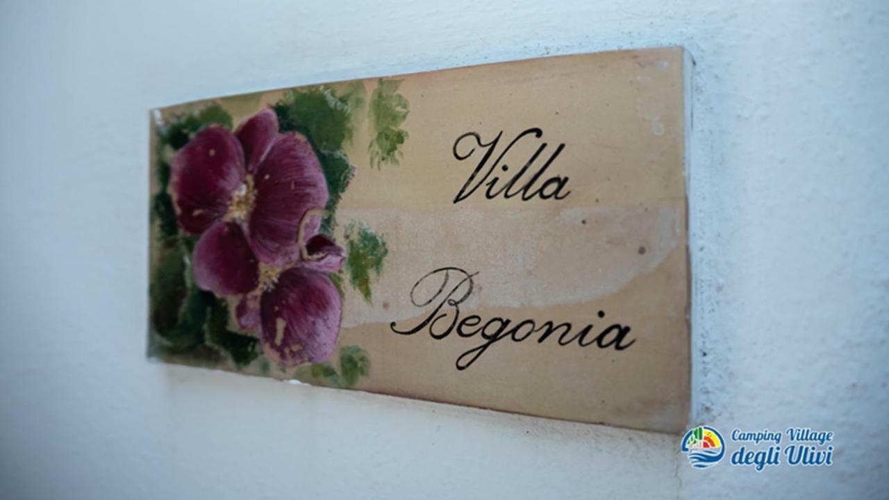 Camping Village Degli Ulivi Mattinata Luaran gambar