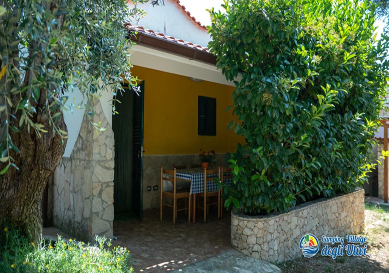 Camping Village Degli Ulivi Mattinata Luaran gambar