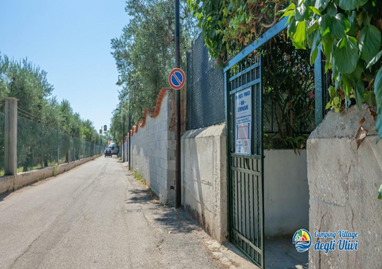 Camping Village Degli Ulivi Mattinata Luaran gambar