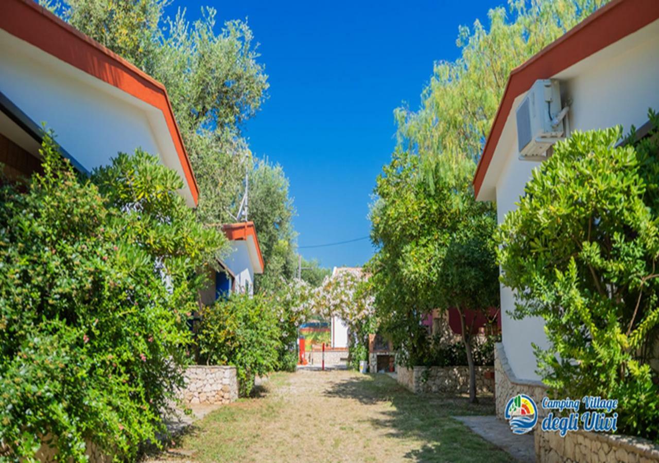 Camping Village Degli Ulivi Mattinata Luaran gambar
