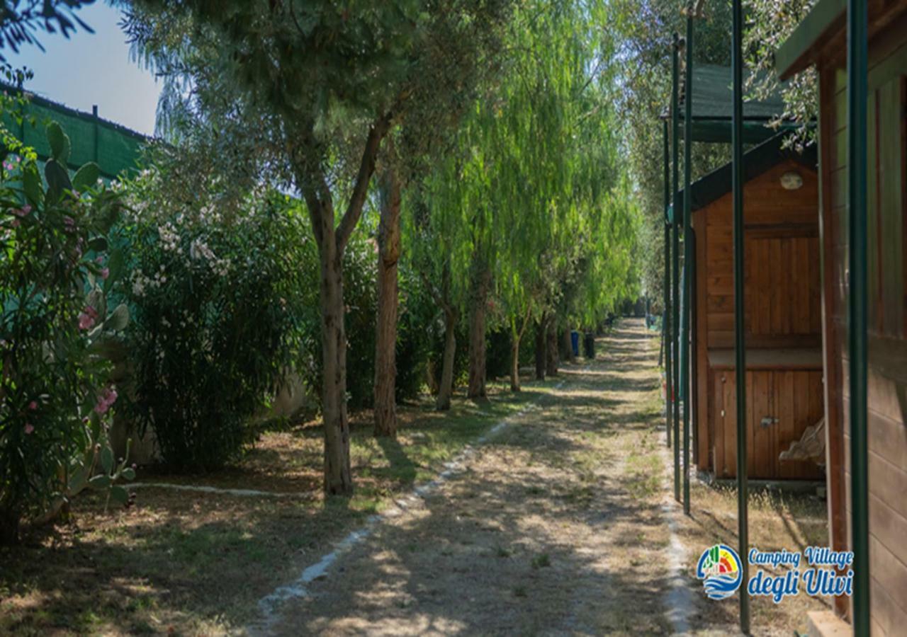Camping Village Degli Ulivi Mattinata Luaran gambar