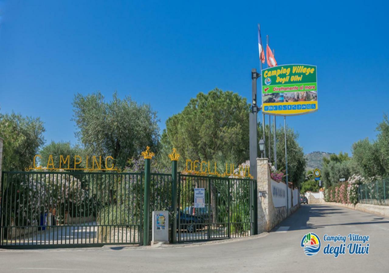 Camping Village Degli Ulivi Mattinata Luaran gambar